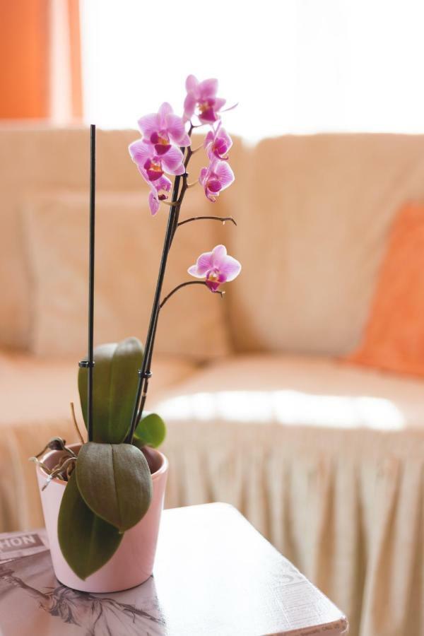 Apartment Dean Umag Zewnętrze zdjęcie